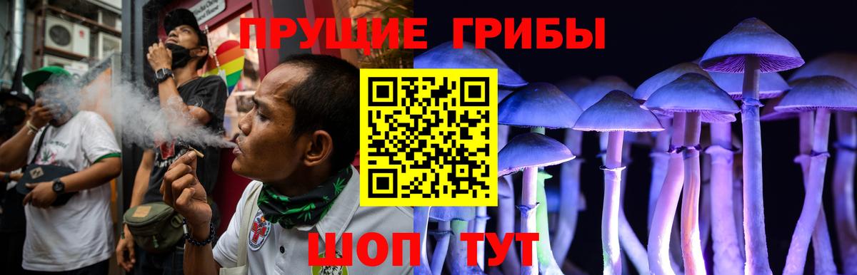 Псилоцибиновые грибы прущие грибы Бийск